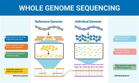 Sequencing Overview 